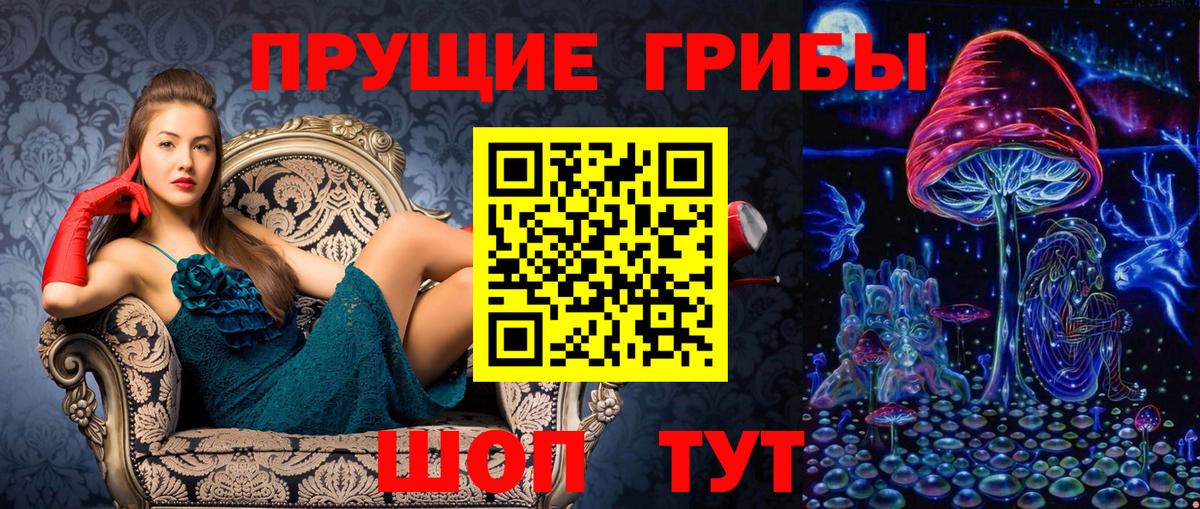 Галлюциногенные грибы прущие грибы  Галлюциногенные грибы GOLDEN TEACHER  Вход с VPN  Михайловск 