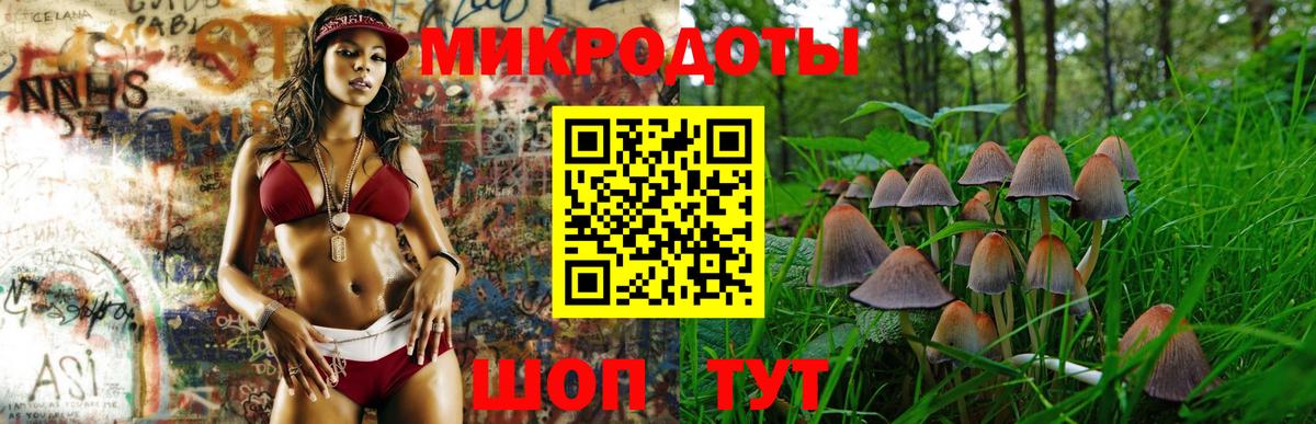 Псилоцибиновые грибы GOLDEN TEACHER Михайловск